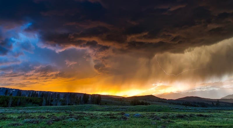 Yellowstone National Park